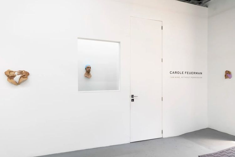 Installation view, I Am Mine, Without Permission, Ethan Cohen · 2026 (5)