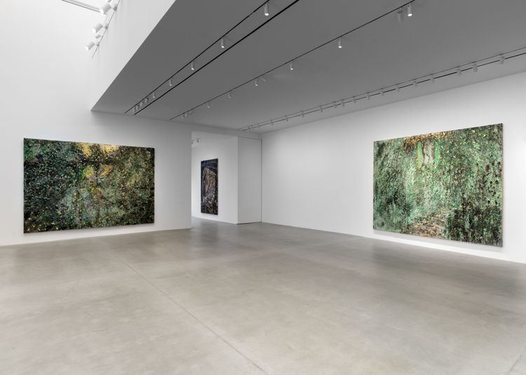 Installation view, Seal My Ears Shut and I Shall Hear You Still, Gagosian, 541 W 24th Street · 2026 (3)
