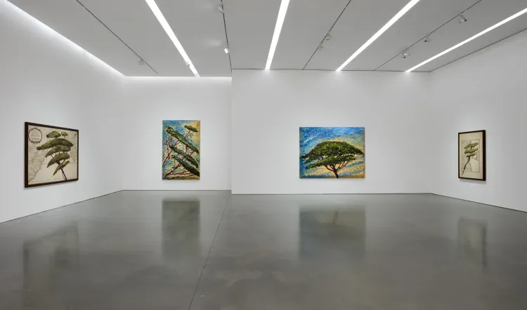 Installation view, Italy Through Its Trees, Pace · 2026 (1)