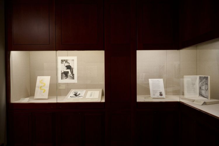 Installation view, Ferlinghetti for San Francisco, Legion of Honor