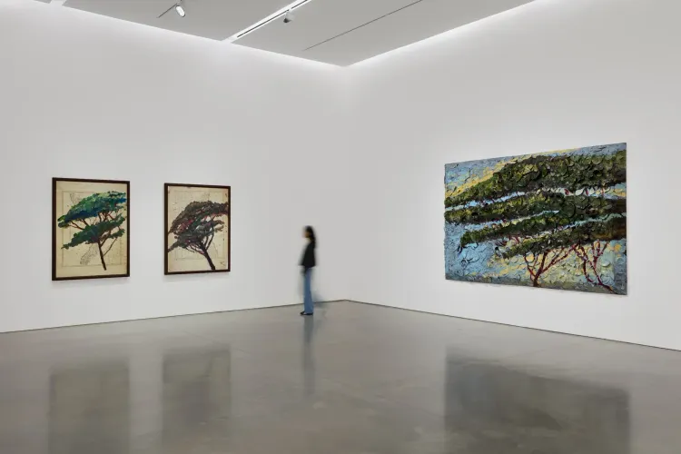 Installation view, Italy Through Its Trees, Pace · 2026 (5)