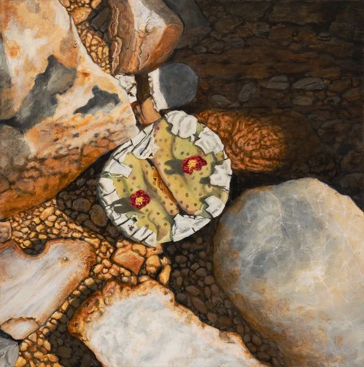 Installation view, Nature of Painting, Hosfelt Gallery · 2026 (12)