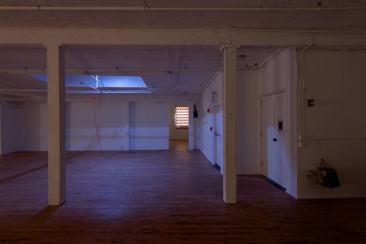 Installation view, GOAT, Maxwell Graham · 2026 (3)