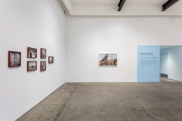 Installation view, Between a Memory and Me, Art + Practice Exhibition Space · 2026 (4)