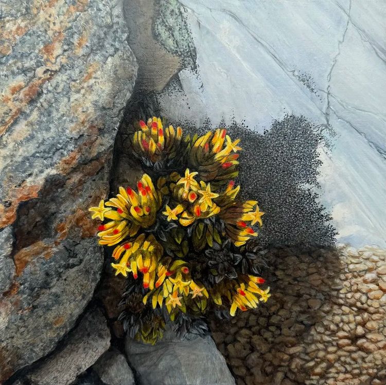 Installation view, Nature of Painting, Hosfelt Gallery · 2026 (15)