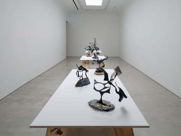 Installation view, ROYGBIV, David Kordansky Gallery · 2026 (5)