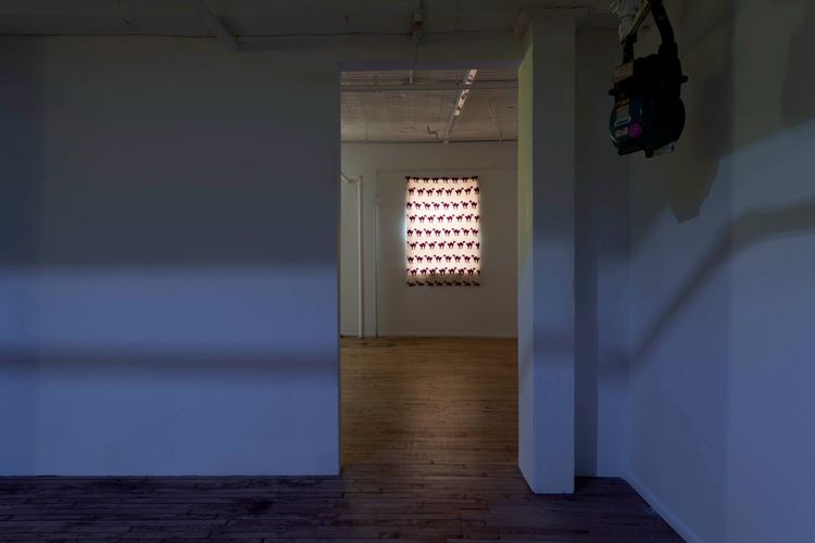 Installation view, GOAT, Maxwell Graham