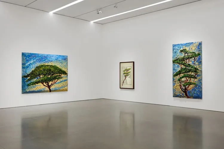 Installation view, Italy Through Its Trees, Pace · 2026 (13)