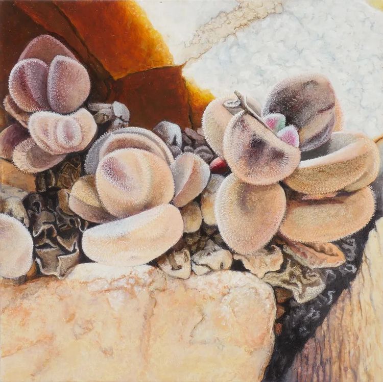 Installation view, Nature of Painting, Hosfelt Gallery · 2026 (7)