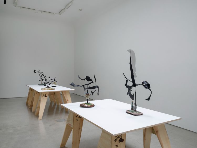 Installation view, ROYGBIV, David Kordansky Gallery · 2026 (4)