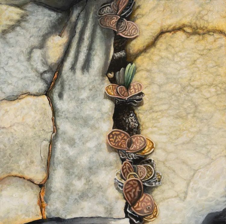 Installation view, Nature of Painting, Hosfelt Gallery · 2026 (9)
