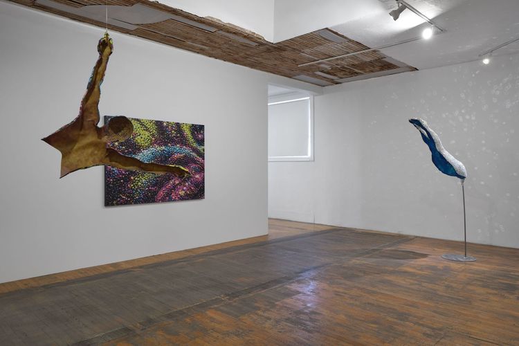 Installation view, Glitter Mani Fest, Commonwealth and Council · 2026 (7)