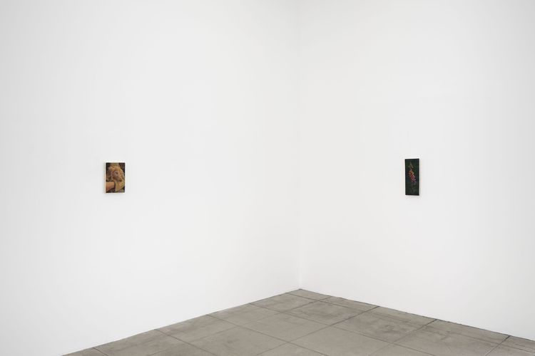Installation view, Joseph Jones, Overduin & Co. · 2026 (2)