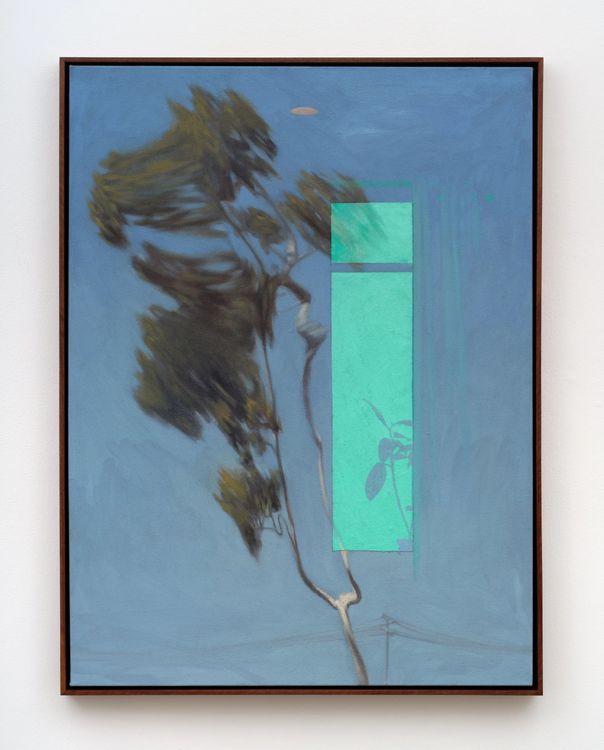 Installation view, Slow Burn, Megan Mulrooney · 2026 (33)