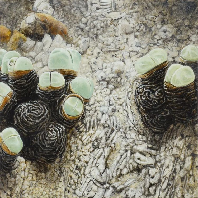 Installation view, Nature of Painting, Hosfelt Gallery · 2026 (17)