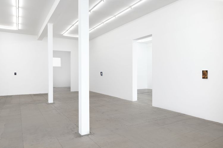 Installation view, Joseph Jones, Overduin & Co. · 2026 (4)