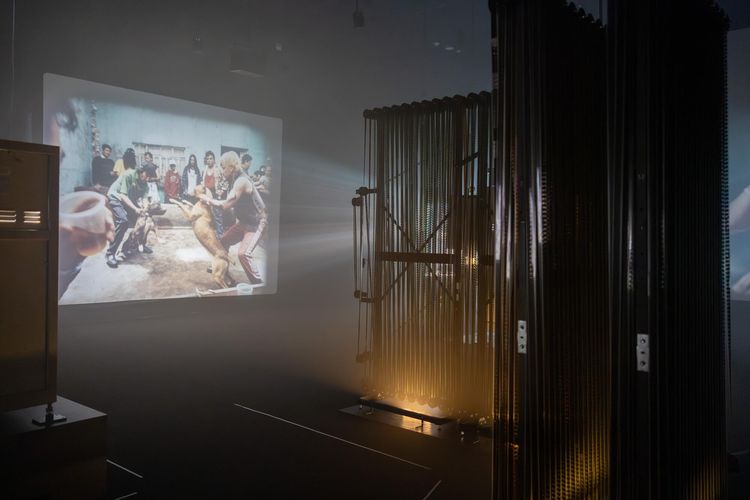 Installation view, SUEÑO PERRO, LACMA