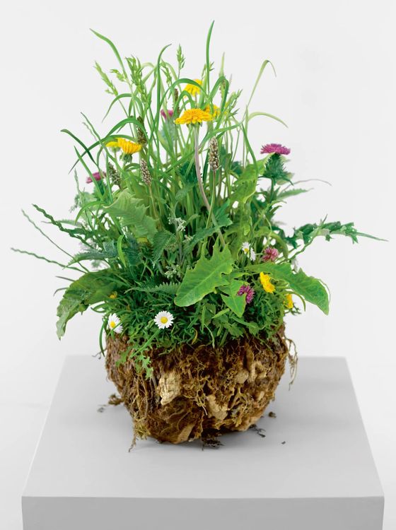 Installation view, The Generative Universe, Hauser & Wirth · 2026 (11)