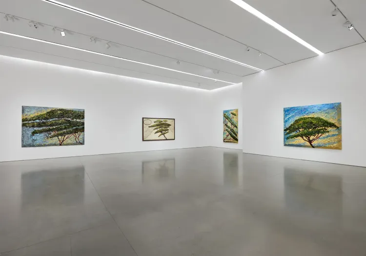 Installation view, Italy Through Its Trees, Pace · 2026 (7)
