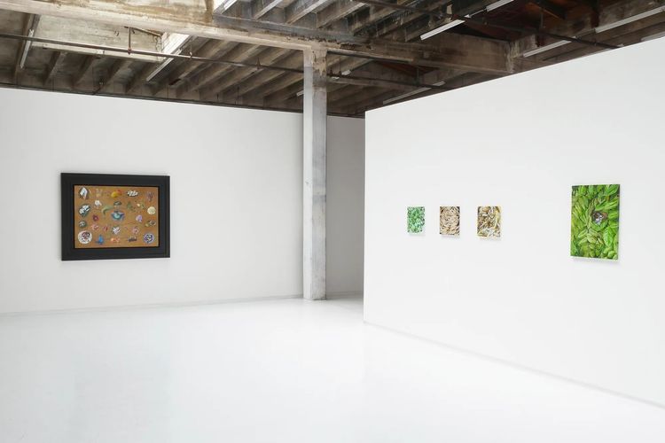 Installation view, Nature of Painting, Hosfelt Gallery · 2026 (5)
