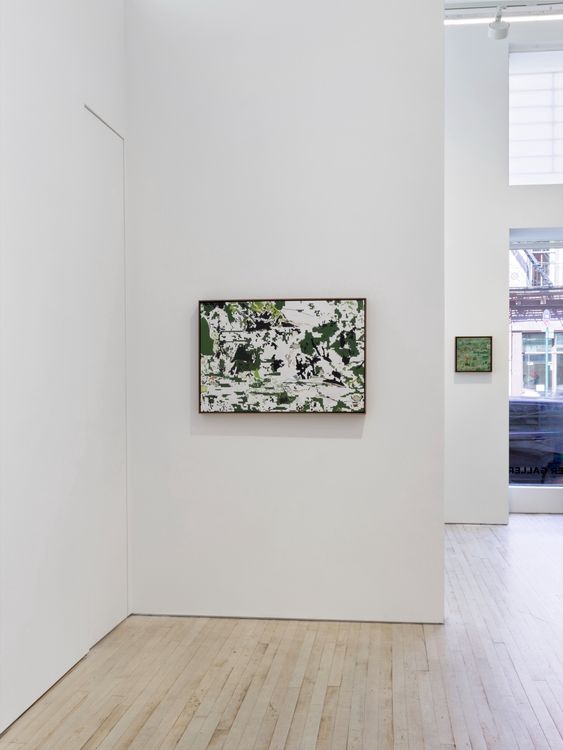 Installation view, Umwelt, Nino Mier Gallery, 62 Crosby St · 2026 (4)