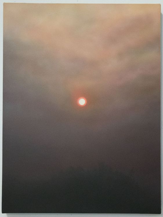 Installation view, Lay of the Land, Billis Williams Gallery · 2026 (14)