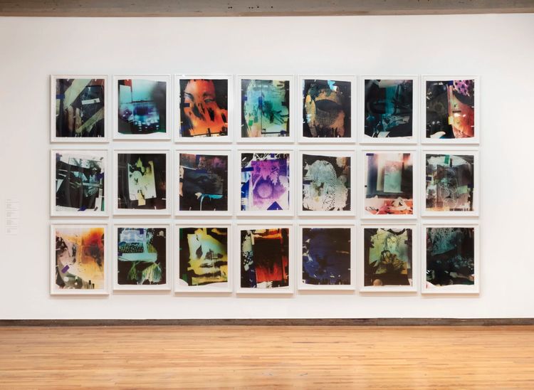 Installation view, FLW, David Peter Francis · 2026 (11)