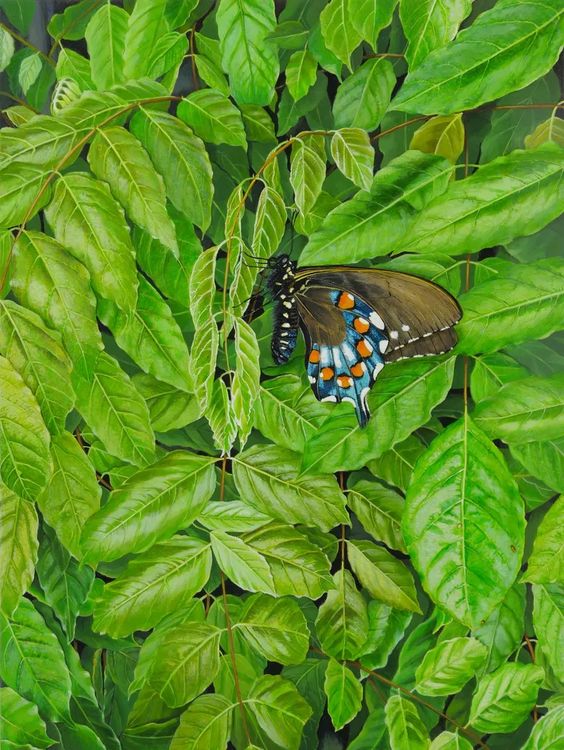 Installation view, Nature of Painting, Hosfelt Gallery · 2026 (21)