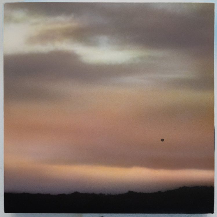Installation view, Lay of the Land, Billis Williams Gallery · 2026 (12)