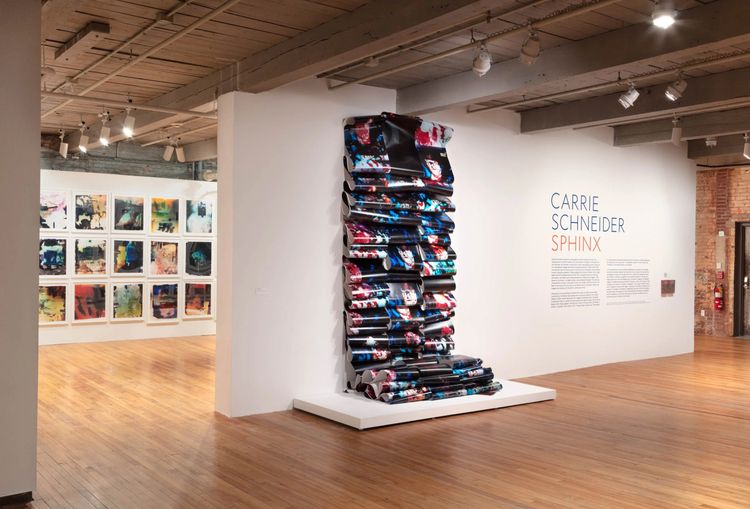 Installation view, FLW, David Peter Francis · 2026 (5)