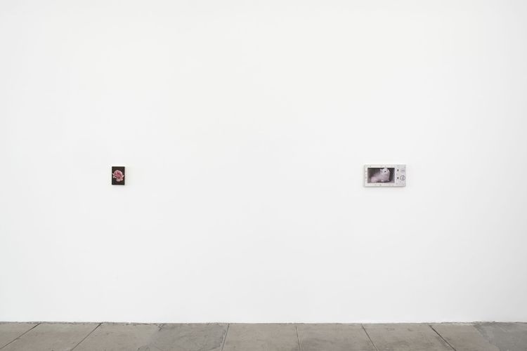 Installation view, Joseph Jones, Overduin & Co. · 2026 (1)