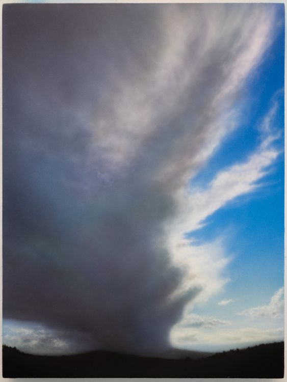 Installation view, Lay of the Land, Billis Williams Gallery · 2026 (4)