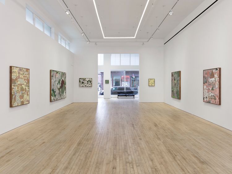 Installation view, Umwelt, Nino Mier Gallery, 62 Crosby St · 2026 (3)