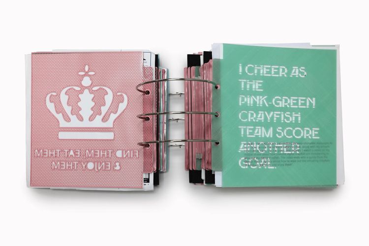 Installation view, Futurity Library: Disobedient Artists' Books in the Postbook Age, San Francisco Center for the Book · 2026 (3)