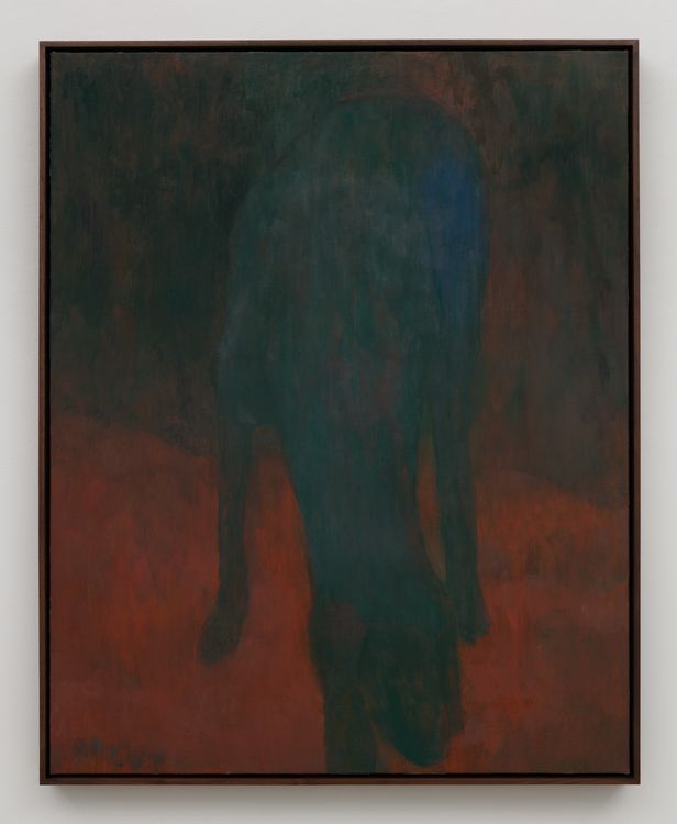 Installation view, Apple, Karma Gallery