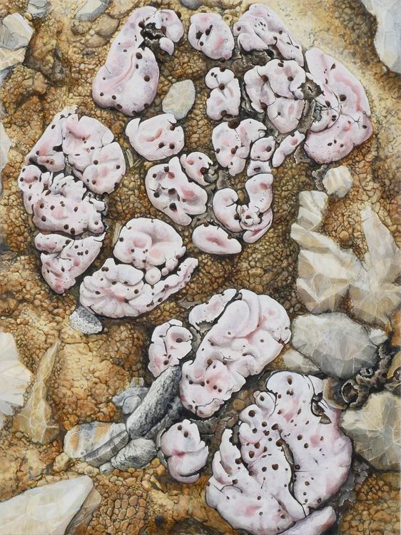 Installation view, Nature of Painting, Hosfelt Gallery · 2026 (22)