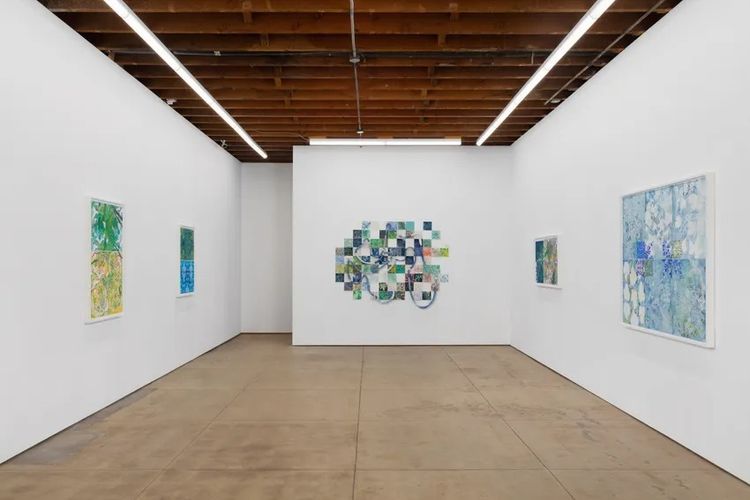 Installation view, Arrábida, Wilding Cran Gallery · 2026 (1)