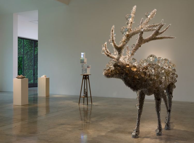 Installation view, Photon Camp, Pace · 2026 (2)