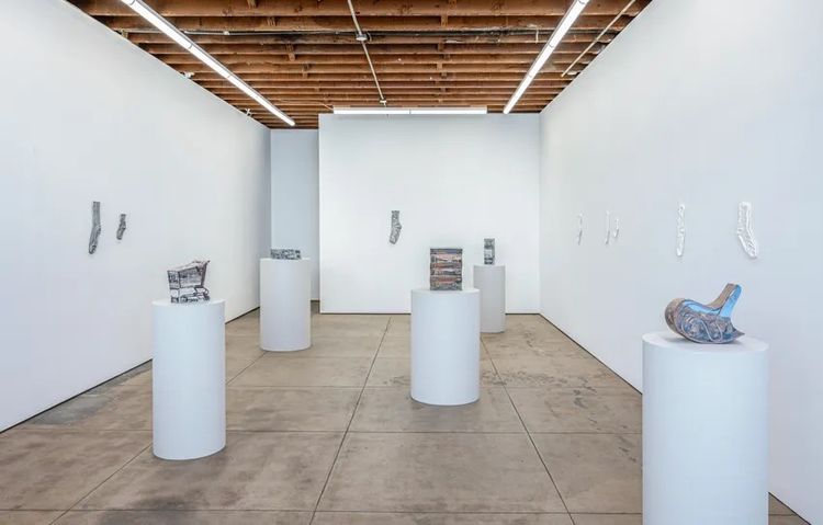 Installation view, Desert Lenses, Wilding Cran Gallery 路 2026 (3)