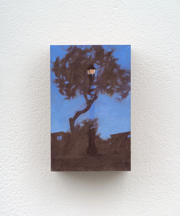 Installation view, Slow Burn, Megan Mulrooney · 2026 (25)