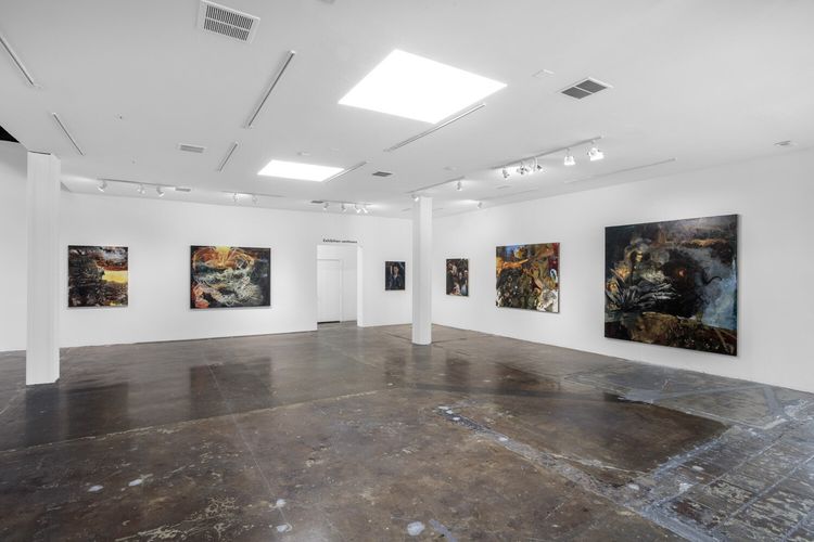 Installation view, Burning in the Eyes of the Maker, Jeffrey Deitch, West Hollywood · 2026 (4)