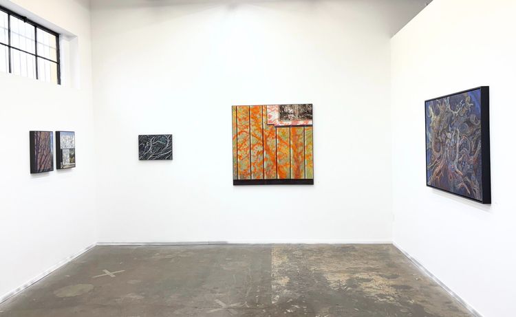 Installation view, Sharon Feder, Billis Williams Gallery · 2026 (1)