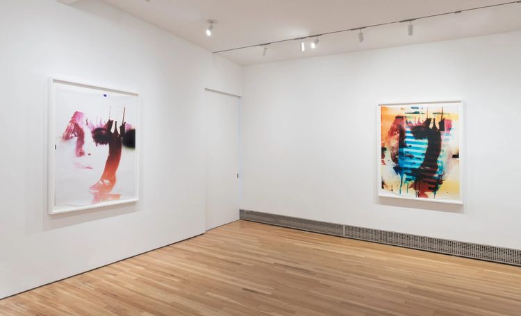 Installation view, FLW, David Peter Francis · 2026 (7)