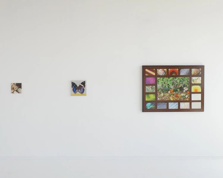 Installation view, Nature of Painting, Hosfelt Gallery · 2026 (2)