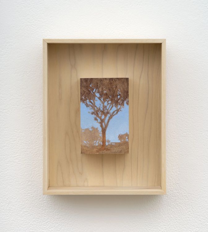 Installation view, Slow Burn, Megan Mulrooney · 2026 (24)