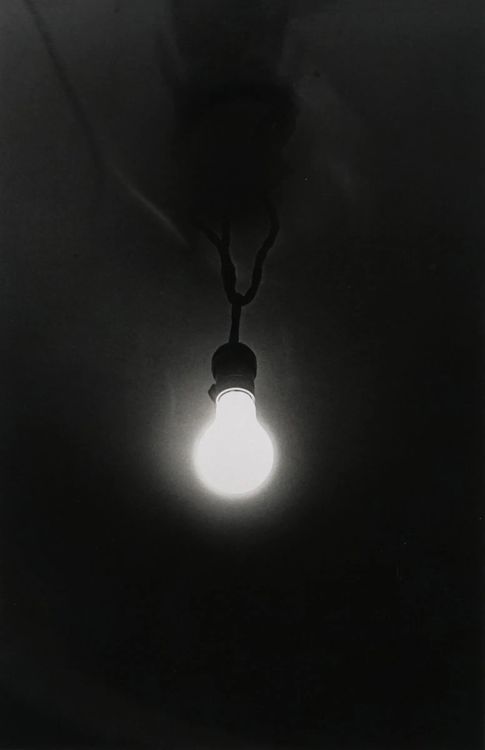 Installation view, The Hunter, Peter Fetterman · 2026 (6)