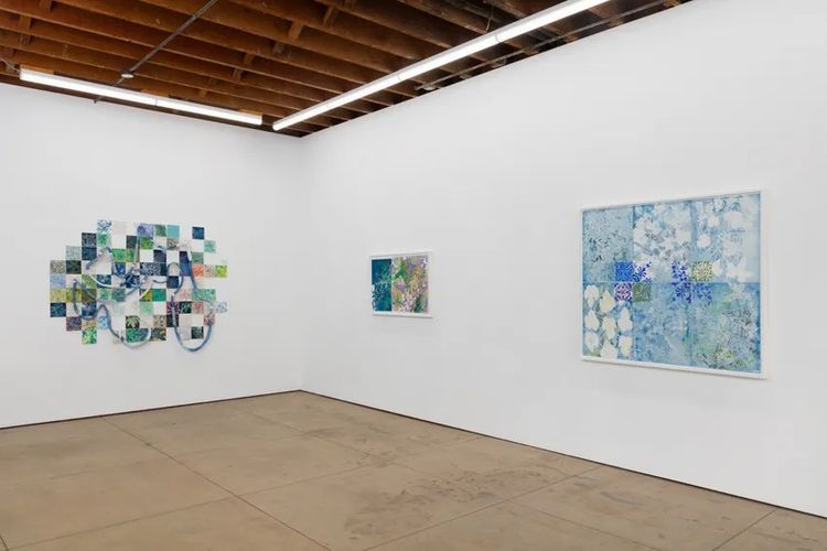 Installation view, Arrábida, Wilding Cran Gallery · 2026 (3)