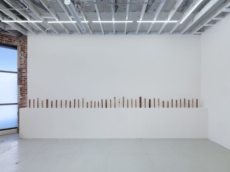 Installation view, John in California, House of Seiko · 2026 (2)