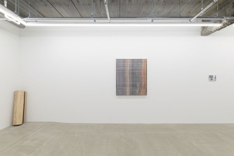 Installation view, Nerhol: Unseen Body, Yutaka Kikutake Gallery · 2026 (4)