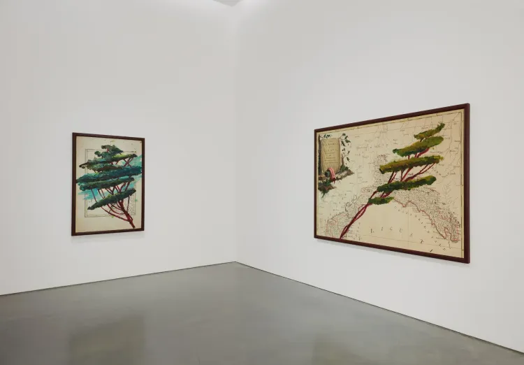 Installation view, Italy Through Its Trees, Pace · 2026 (9)